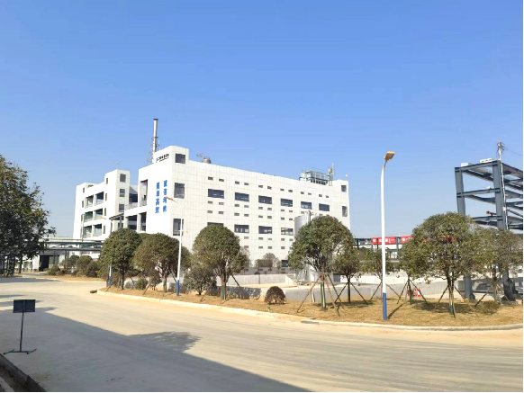 市委书记王文华一行领导莅临福尔程